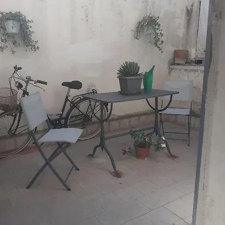 בית הארחה Domus 31