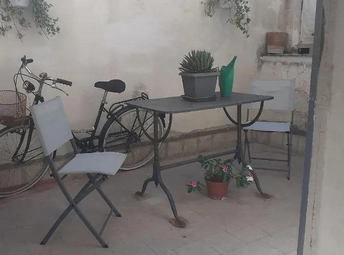 게스트하우스 Domus 31